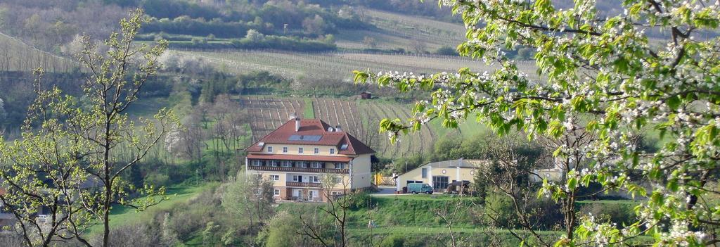 Pulkau Pension Rudi - Weingut Kellner酒店 外观 照片