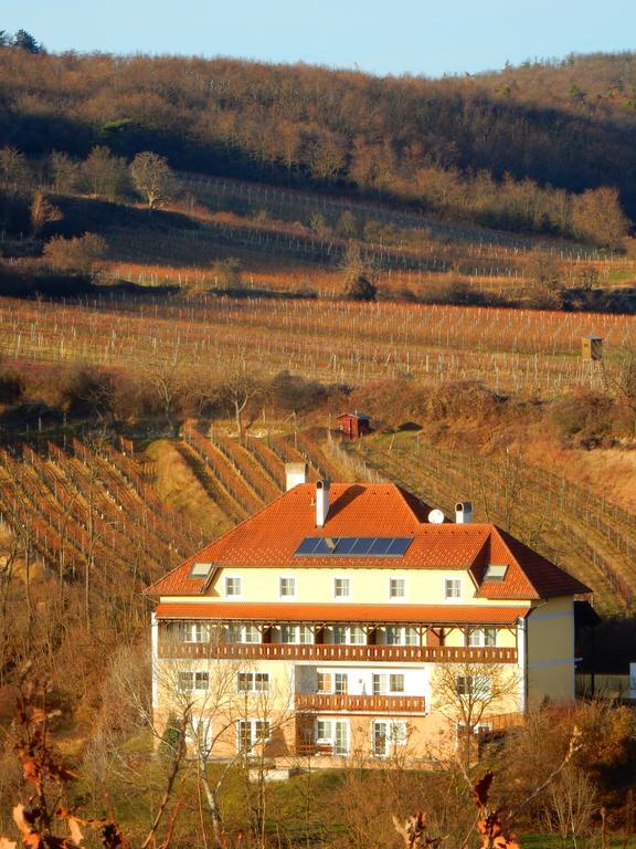 Pulkau Pension Rudi - Weingut Kellner酒店 外观 照片