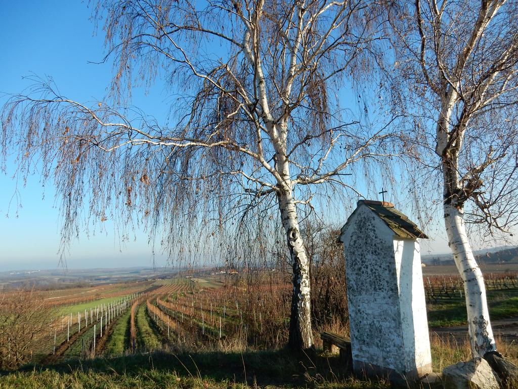 Pulkau Pension Rudi - Weingut Kellner酒店 外观 照片