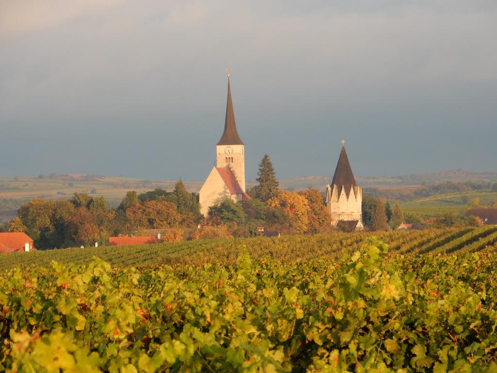 Pulkau Pension Rudi - Weingut Kellner酒店 外观 照片