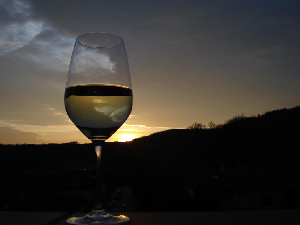 Pulkau Pension Rudi - Weingut Kellner酒店 外观 照片