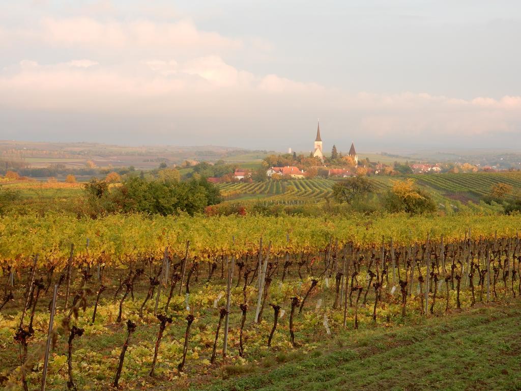 Pulkau Pension Rudi - Weingut Kellner酒店 外观 照片